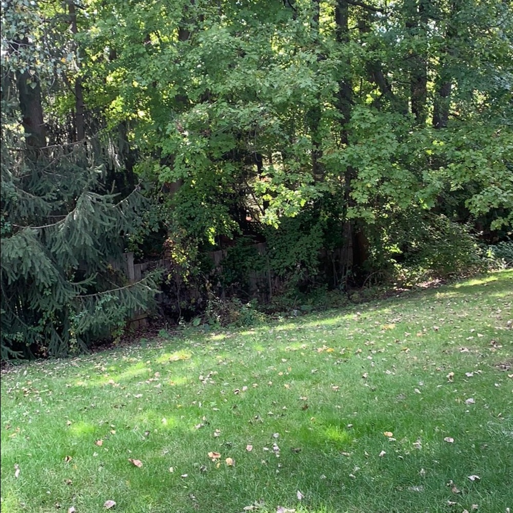 Meet your Posher, Ayca